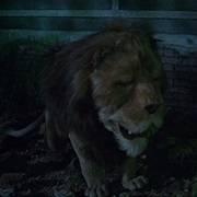 Cowardly Lion