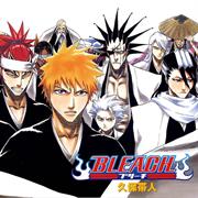 Bleach