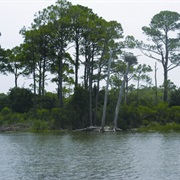 Apalachicola Bay