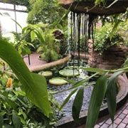 Garfield Park Conservatory