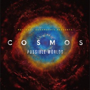 Cosmos: Possible Worlds