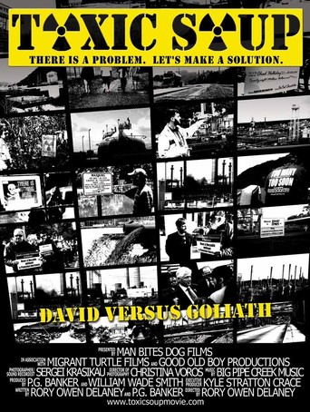 Toxic Soup (2010)