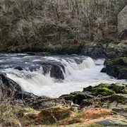 Cenarth Falls