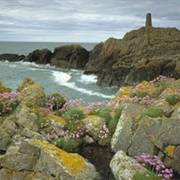 Strumble Head to Cardigan