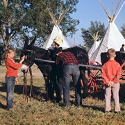 Cheyenne Frontier Days