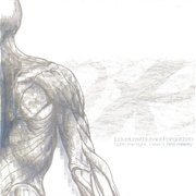 Lost Love but Not Forgotten - Upon the Right, I Saw a New Misery