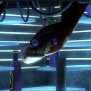 Anacondan Bartender (Coruscant)