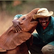 Sheldrick Elephant Orphanage, Kenya