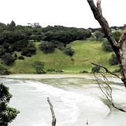 Mahurangi West Walk