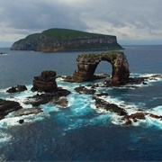 Darwin's Arch