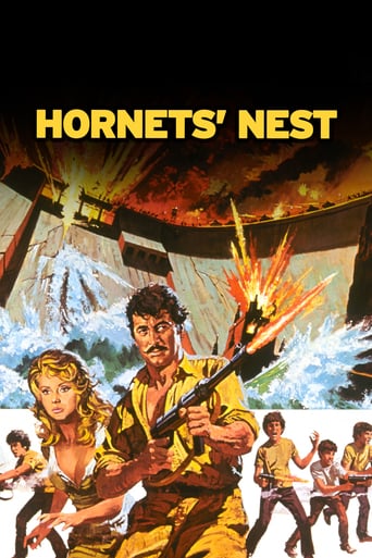 Hornet&#39;s Nest (1970)
