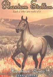 Heartbreak Bronco (Teri Farley)