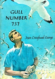 Gull Number 737 (Jean Craighead George)