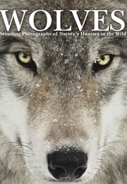 Wolves (Tom Jackson)