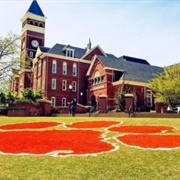 Clemson University