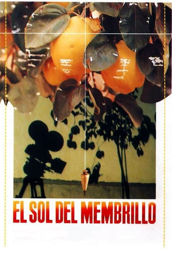 The Quince Tree Sun (1992)