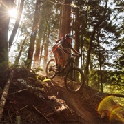 Galbraith Mountain, Bellingham