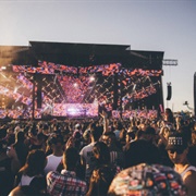 Go to a Music Festival