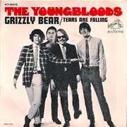 Grizzly Bear - The Youngbloods