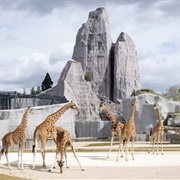Paris Zoological Park