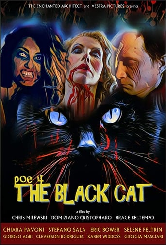 POE 4 - The Black Cat