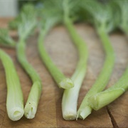 Hogweed (Heracleum Sphondylium)