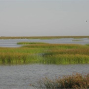 Donana National Park