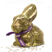 Paul a Young Gold Foiled Chocolate Bunny