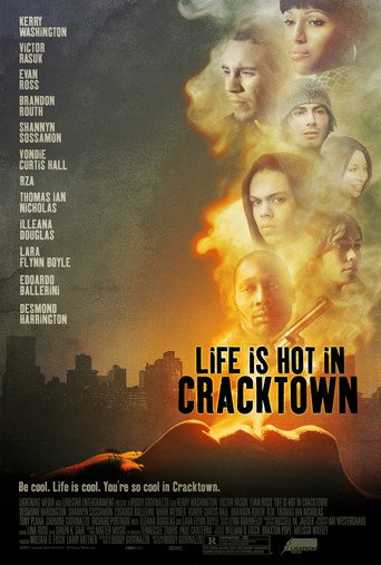 Life Is Hot in Cracktown (2009)