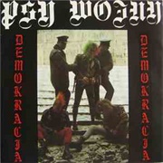 Psy Wojny - Demokracja