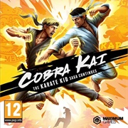 Cobra Kai: The Karate Kid Saga Continues (2020)