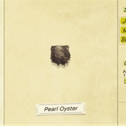 Pearl Oyster
