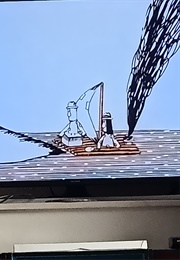 Two Pikes (Kuri) (1960)