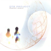 DT8 Project - Perfect World