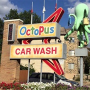 Octopus Car Wash