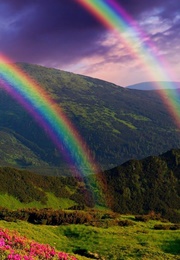 CTRL+F Gay: How a Very Straight Decade Forged a Very Queer Generation (Grace Perry)