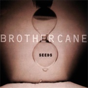 Brother Cane - Seeds