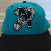 Newburgh Night Hawks