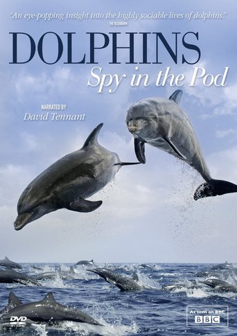 Dolphins: Spy in the Pod (2014)