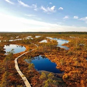 Ķemeri National Park