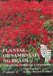 Plantas Ornamentais No Brasil (Harri Lorenzi)