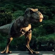 T Rex (Although It Technically Does Not Count as a Kaiju)