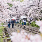 Keage Incline, Kyoto, Japan
