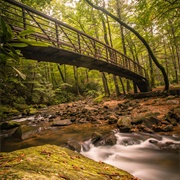 Jones Gap State Park