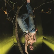 Don't Be the Fool of Your Ego