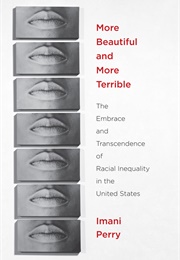 More Beautiful and More Terrible (Imani Perry)