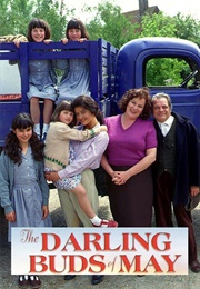 The Darling Buds of May (1991)