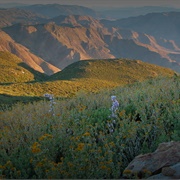 Pine Valley, California