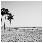 The Band CAMINO - Heaven