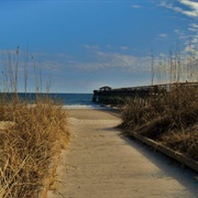 Myrtle Beach State Park
